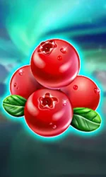 Winterberries